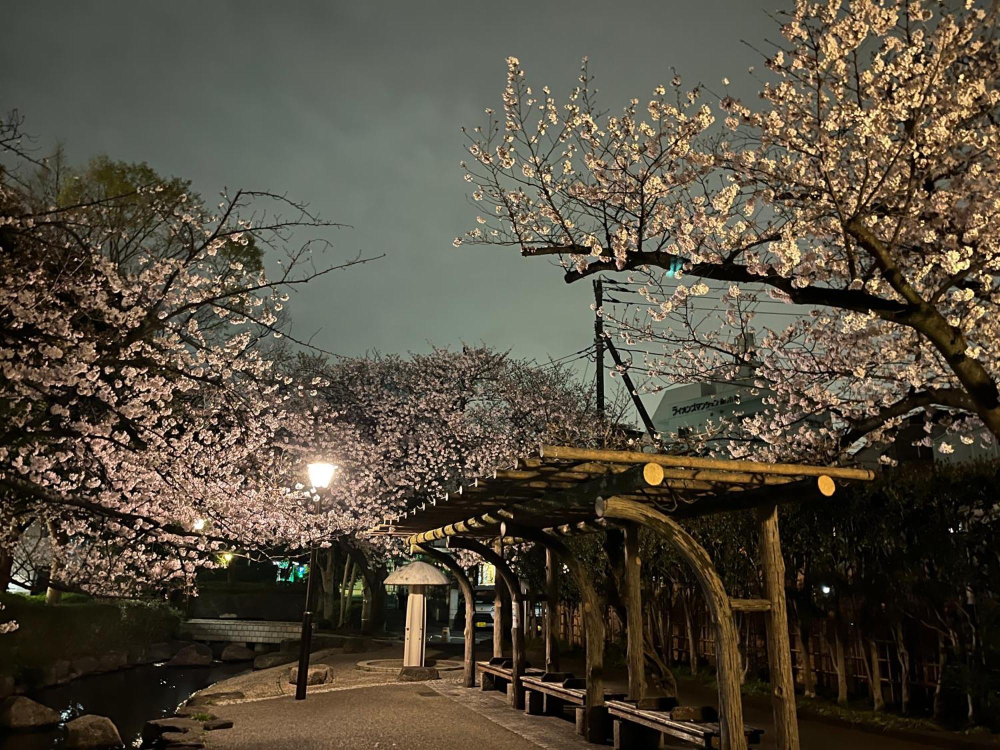 松島雅居 Apartment Tokyo Bagian luar foto